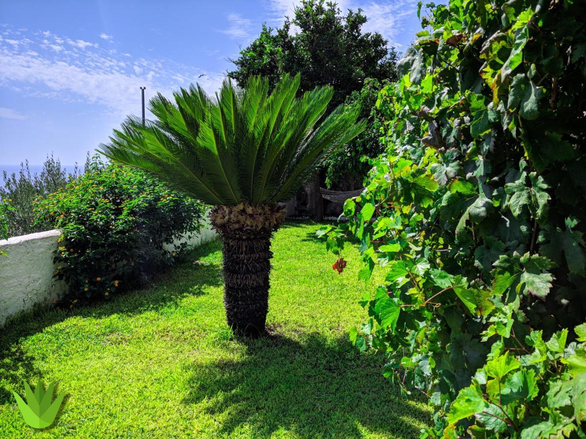 Villa Delle Agavi Vietri Eksteriør bilde