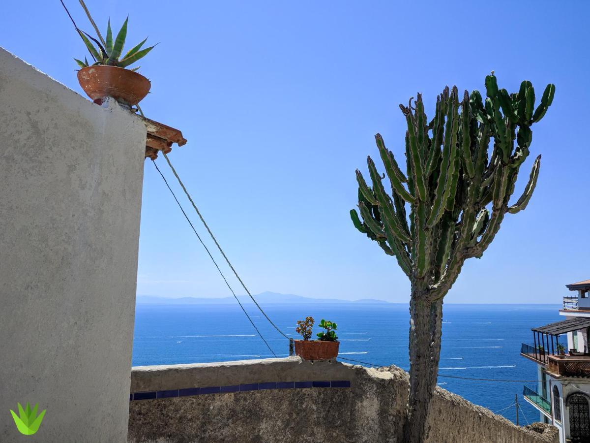 Villa Delle Agavi Vietri Eksteriør bilde