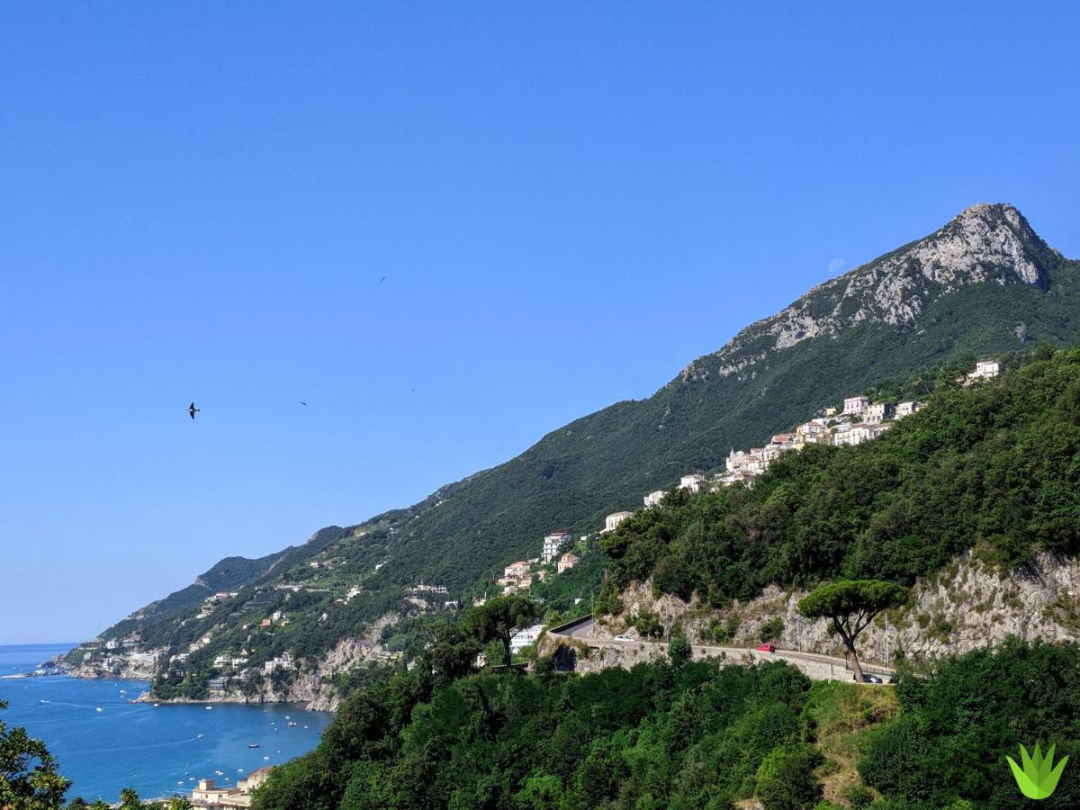 Villa Delle Agavi Vietri Eksteriør bilde