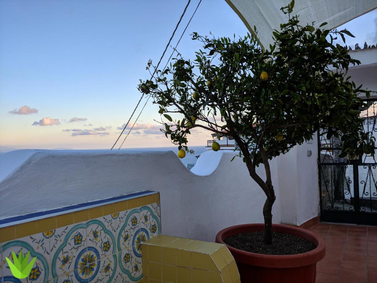 Villa Delle Agavi Vietri Eksteriør bilde